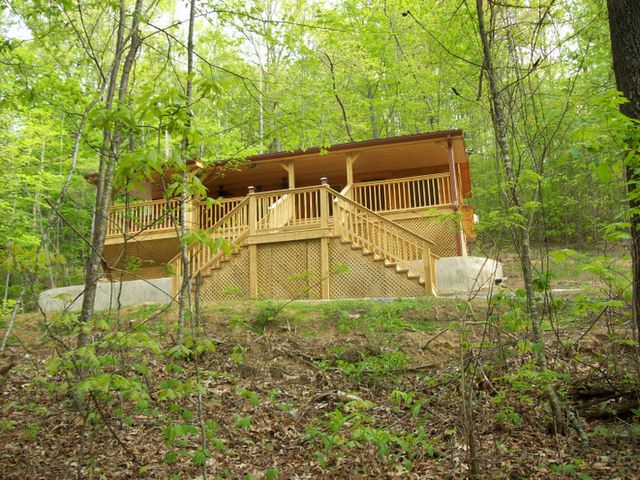 Cabin in the Treetops